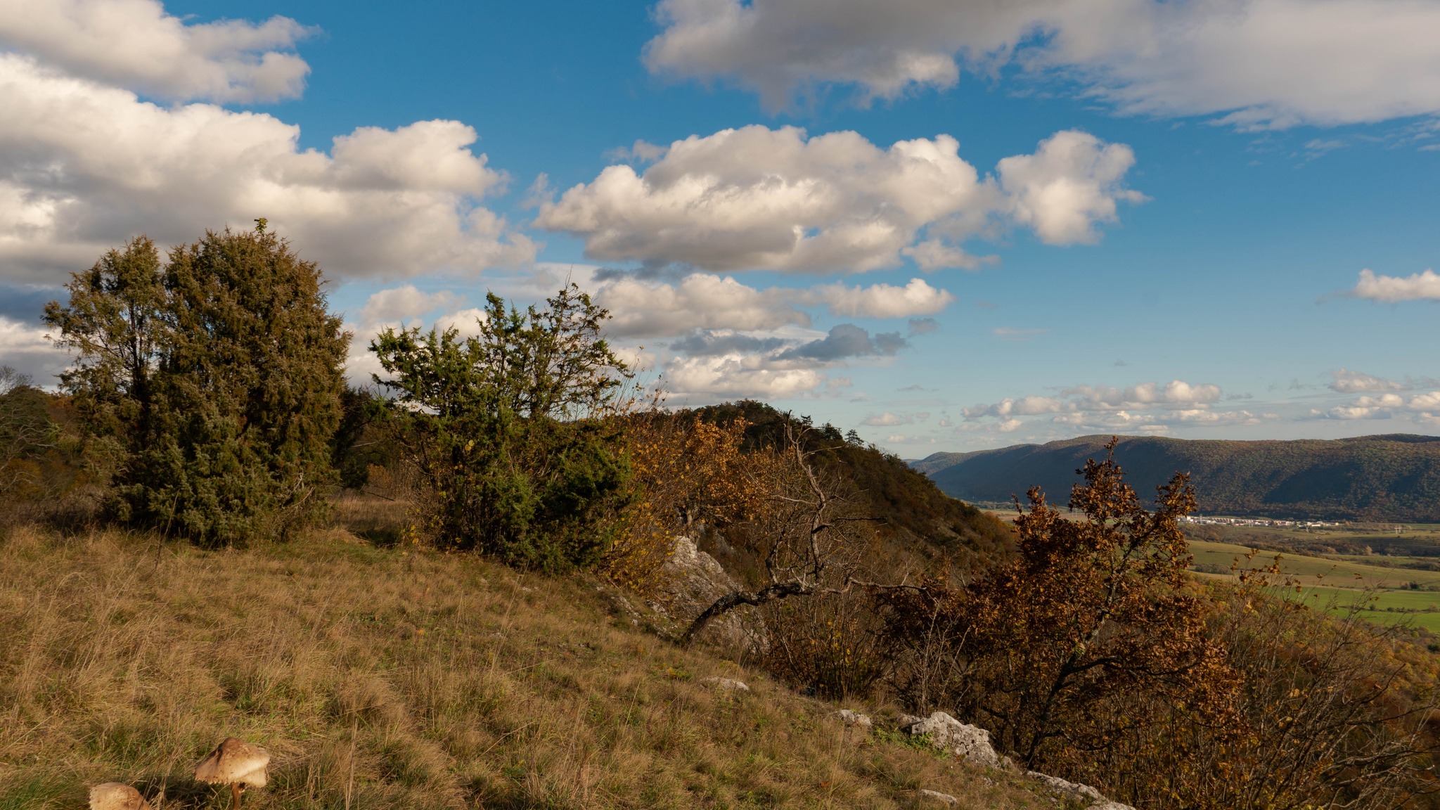 Kratšia vychádzka lesom