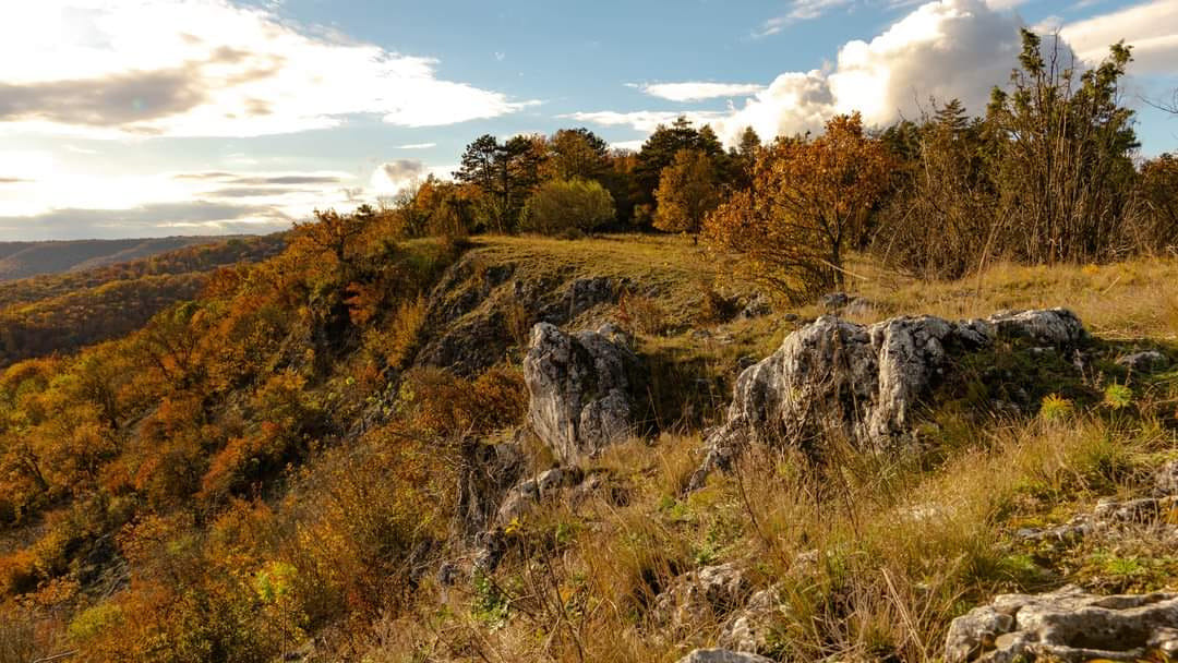 Kratšia vychádzka lesom