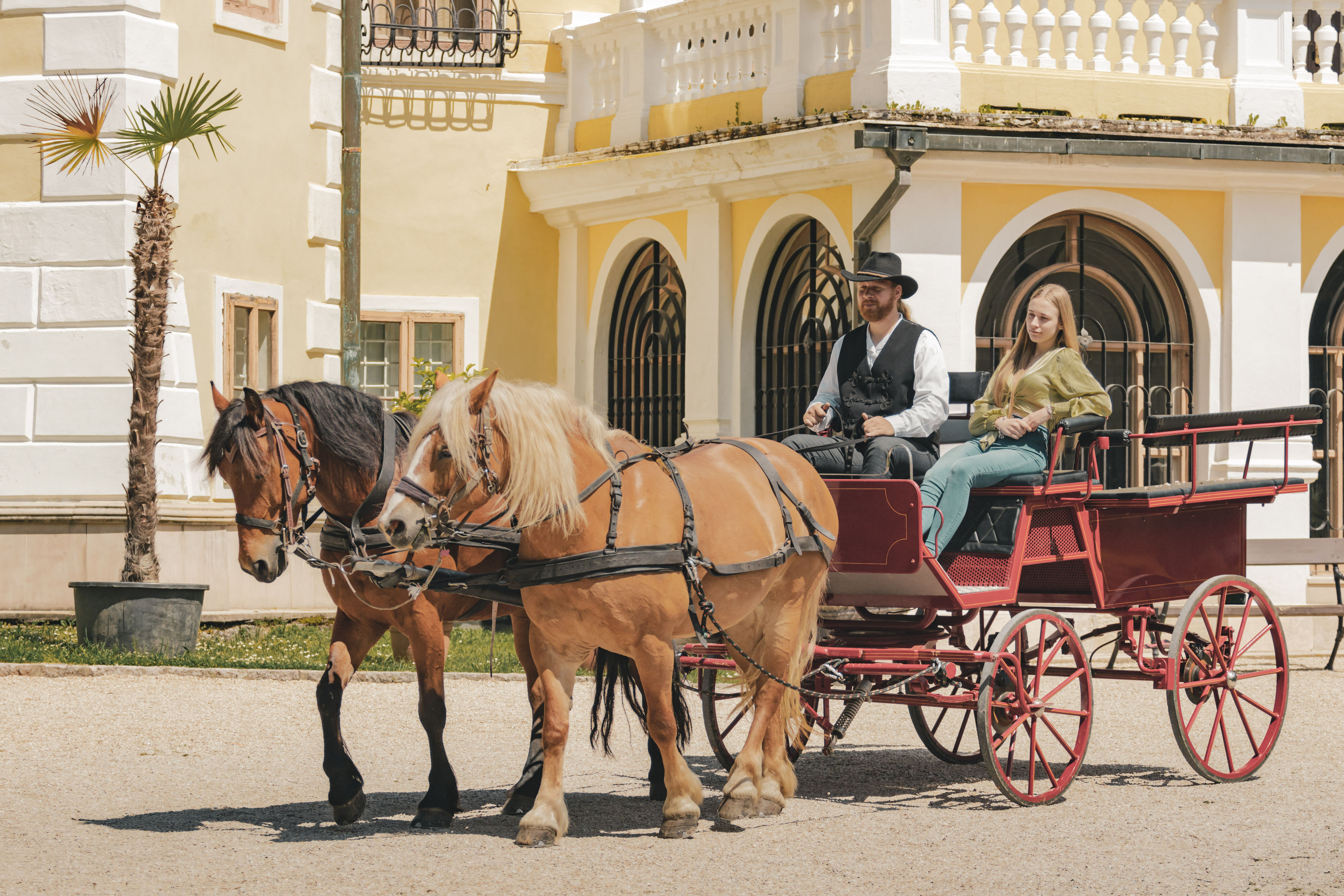 Carriage ride