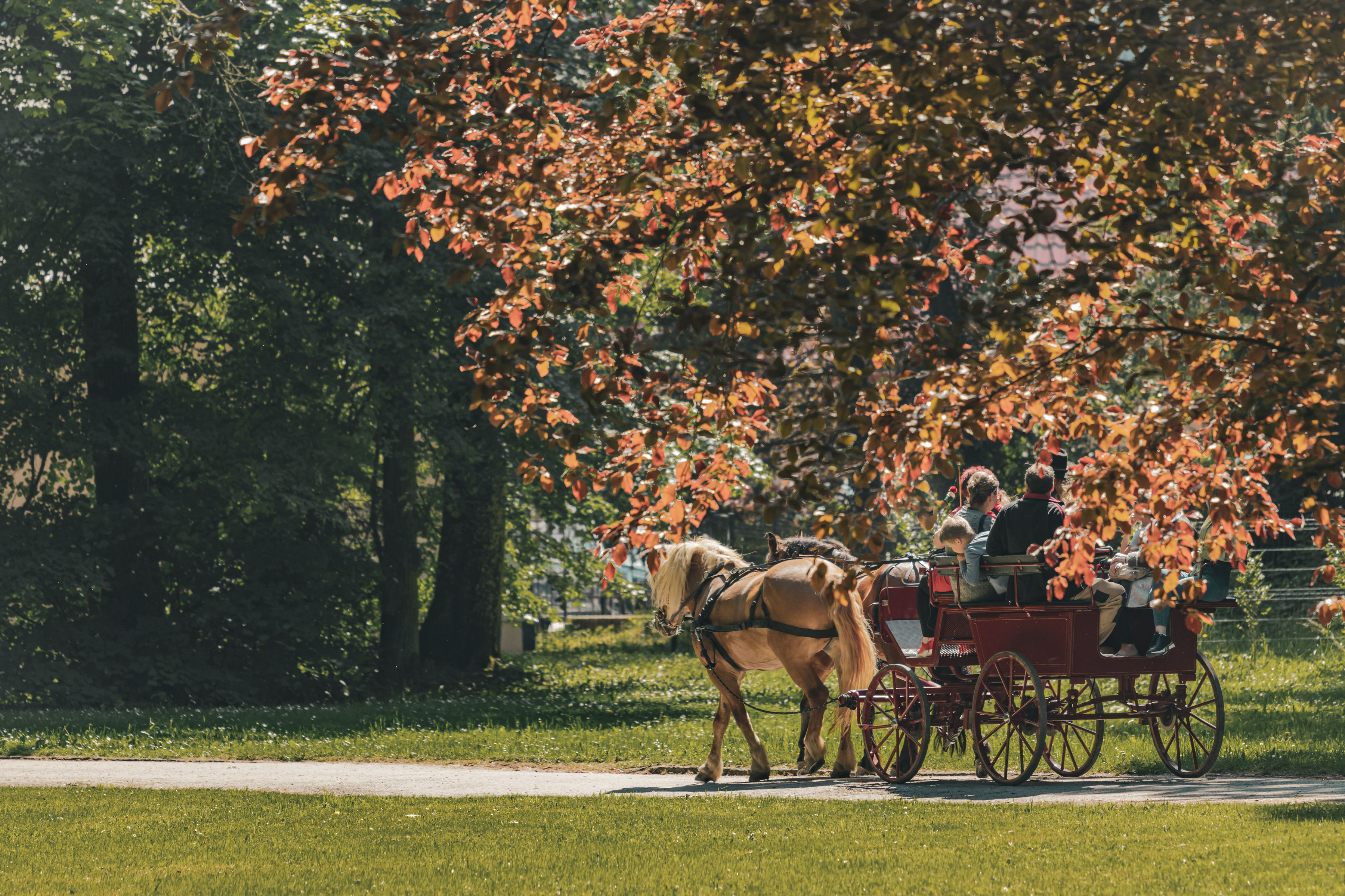 Carriage ride