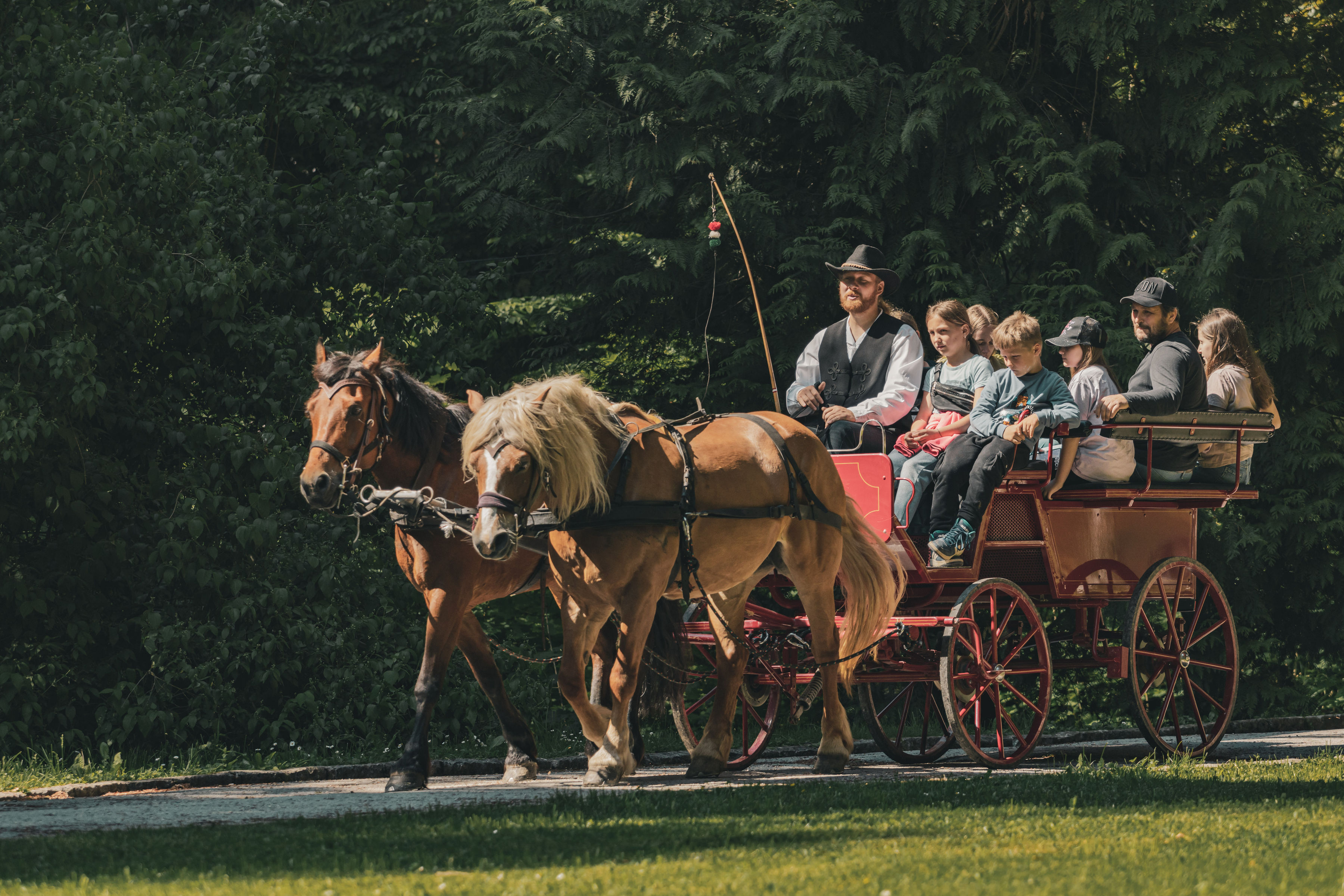 Carriage ride