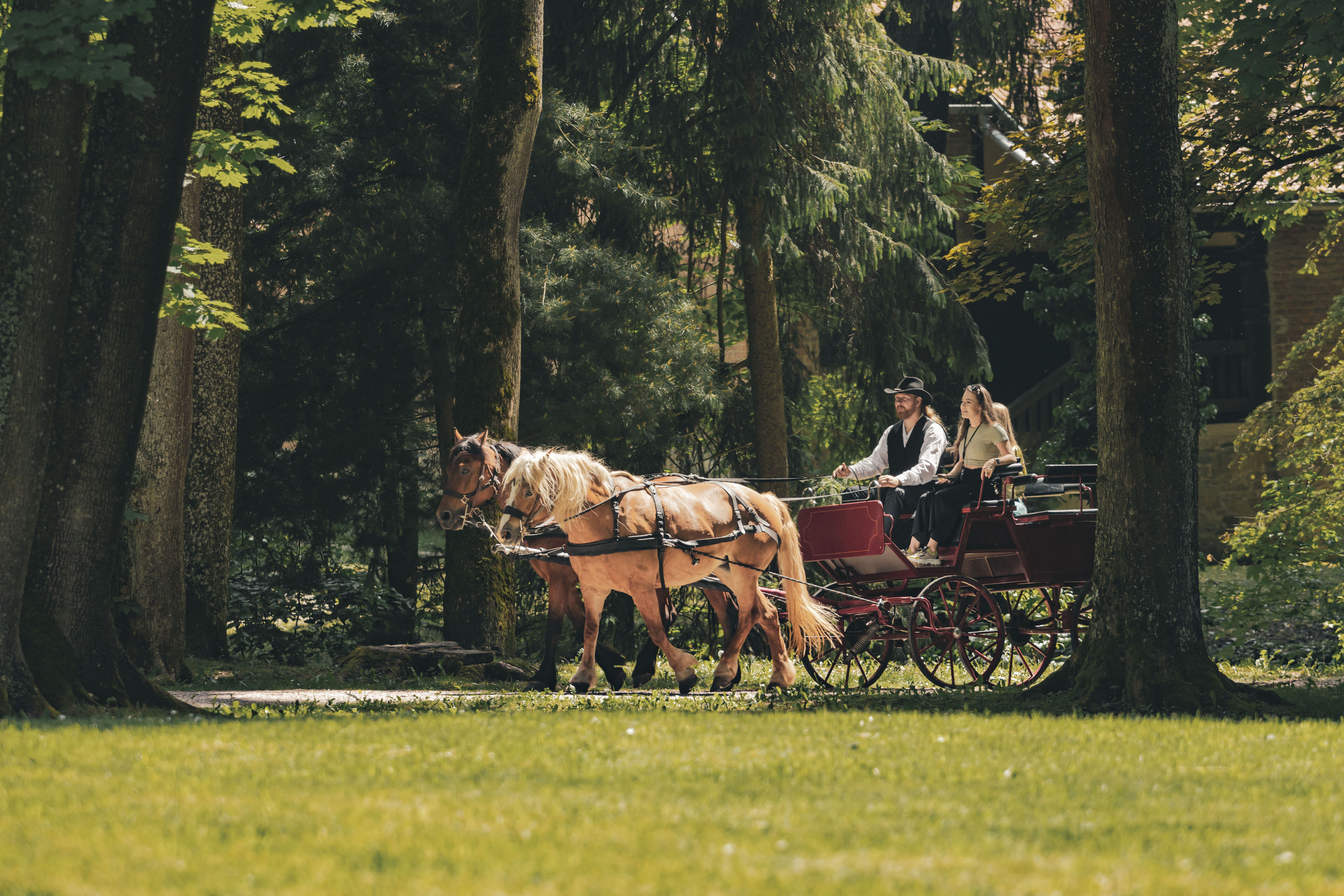 Carriage ride