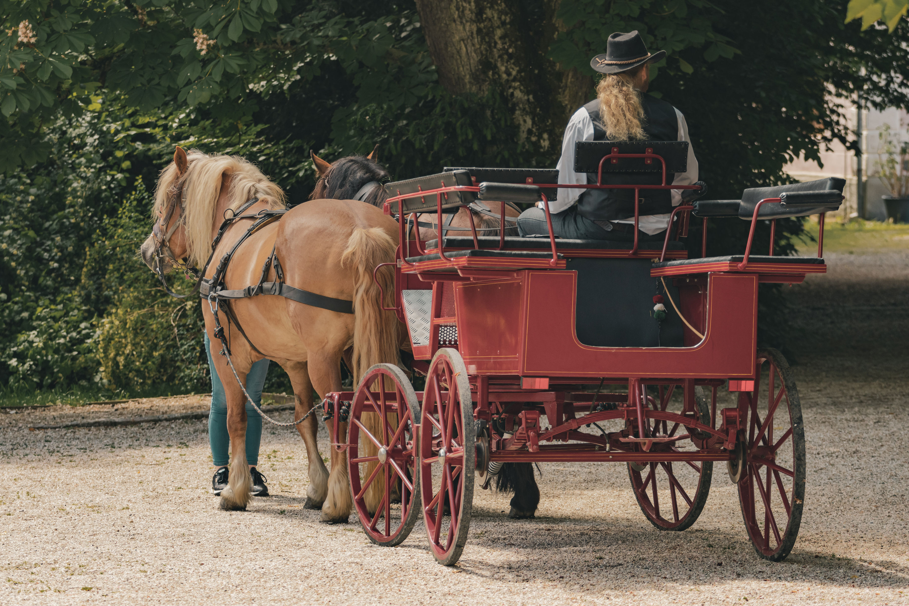 Carriage ride