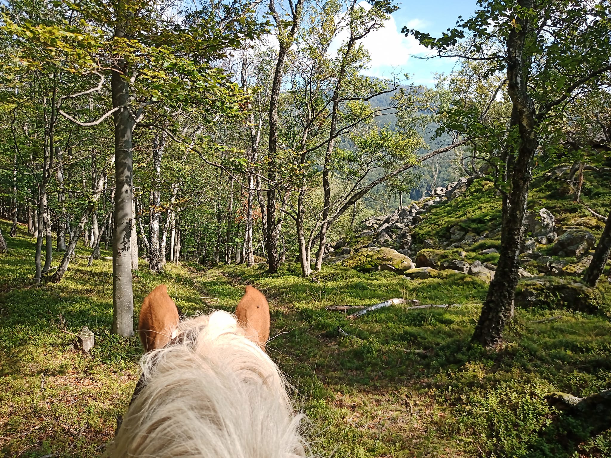 Horseride to Čertov hrad