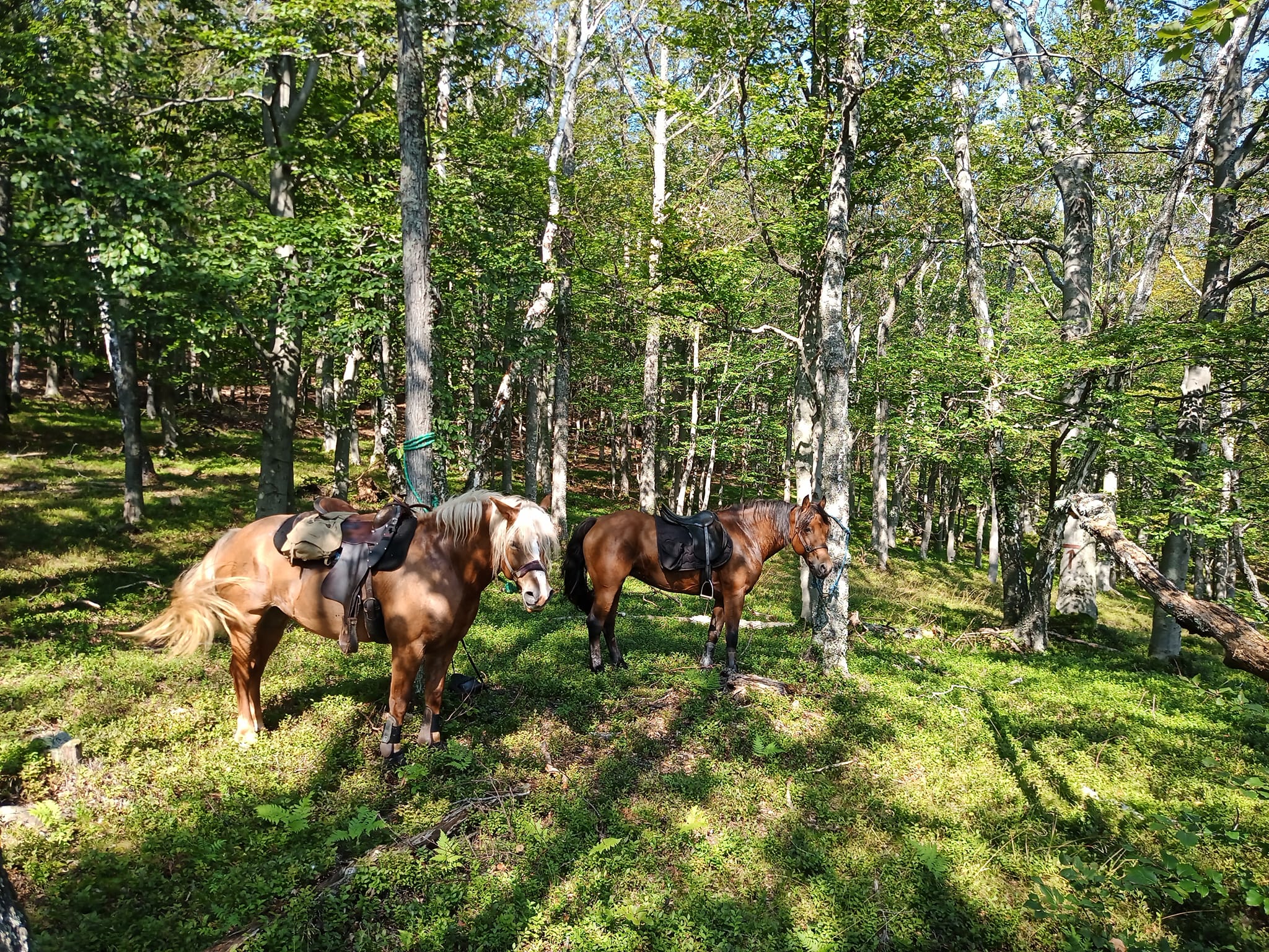 Horseride to Čertov hrad