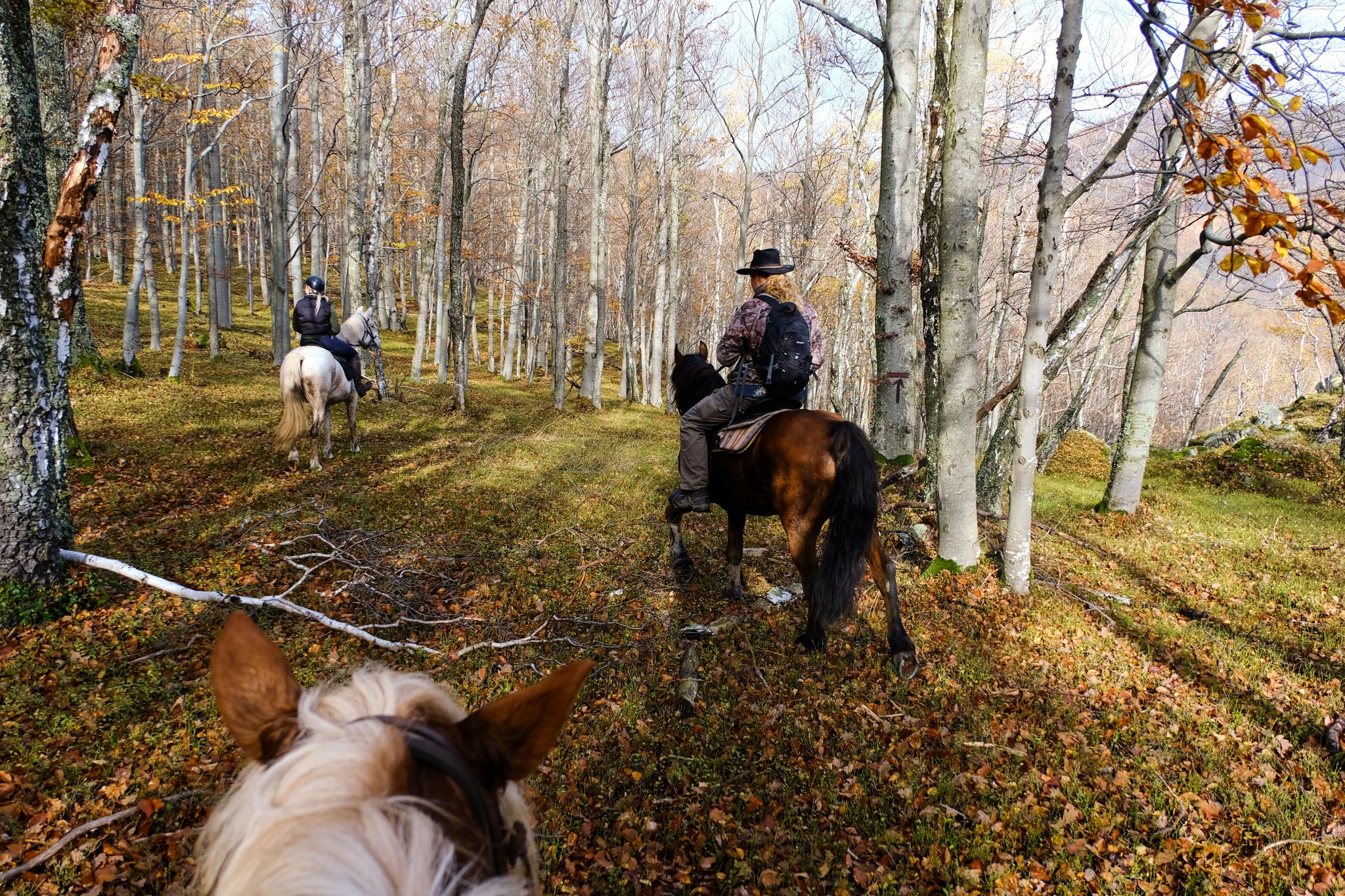 Horseride to Čertov hrad