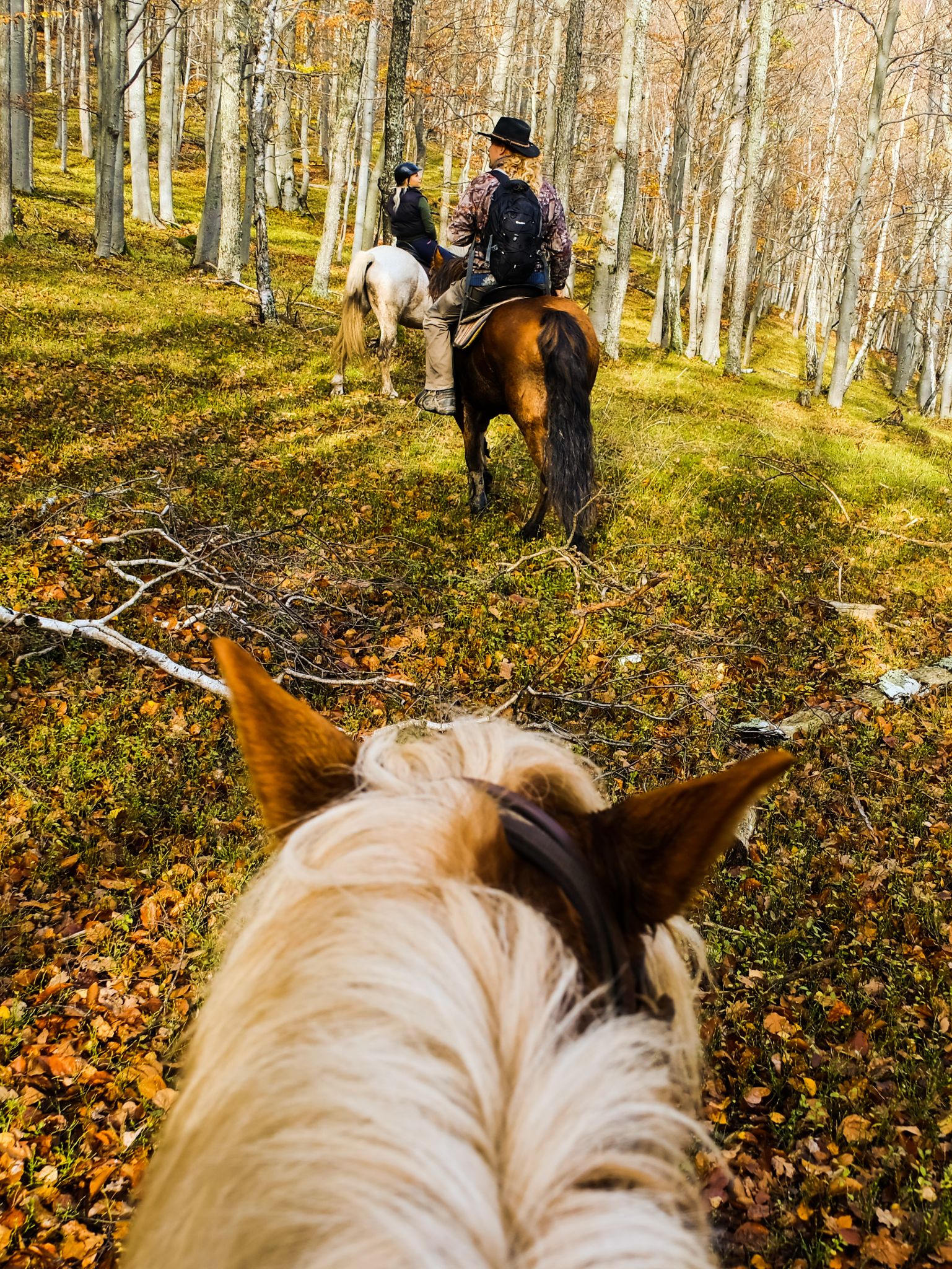 Horseride to Čertov hrad