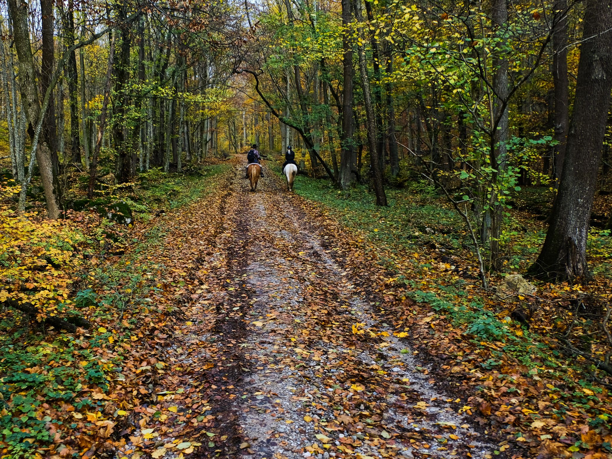 Horseride to Čertov hrad