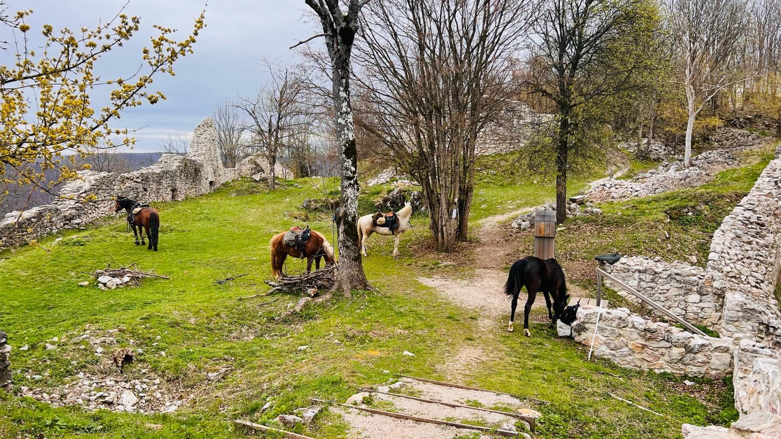 Horseride to Szádvár ruins