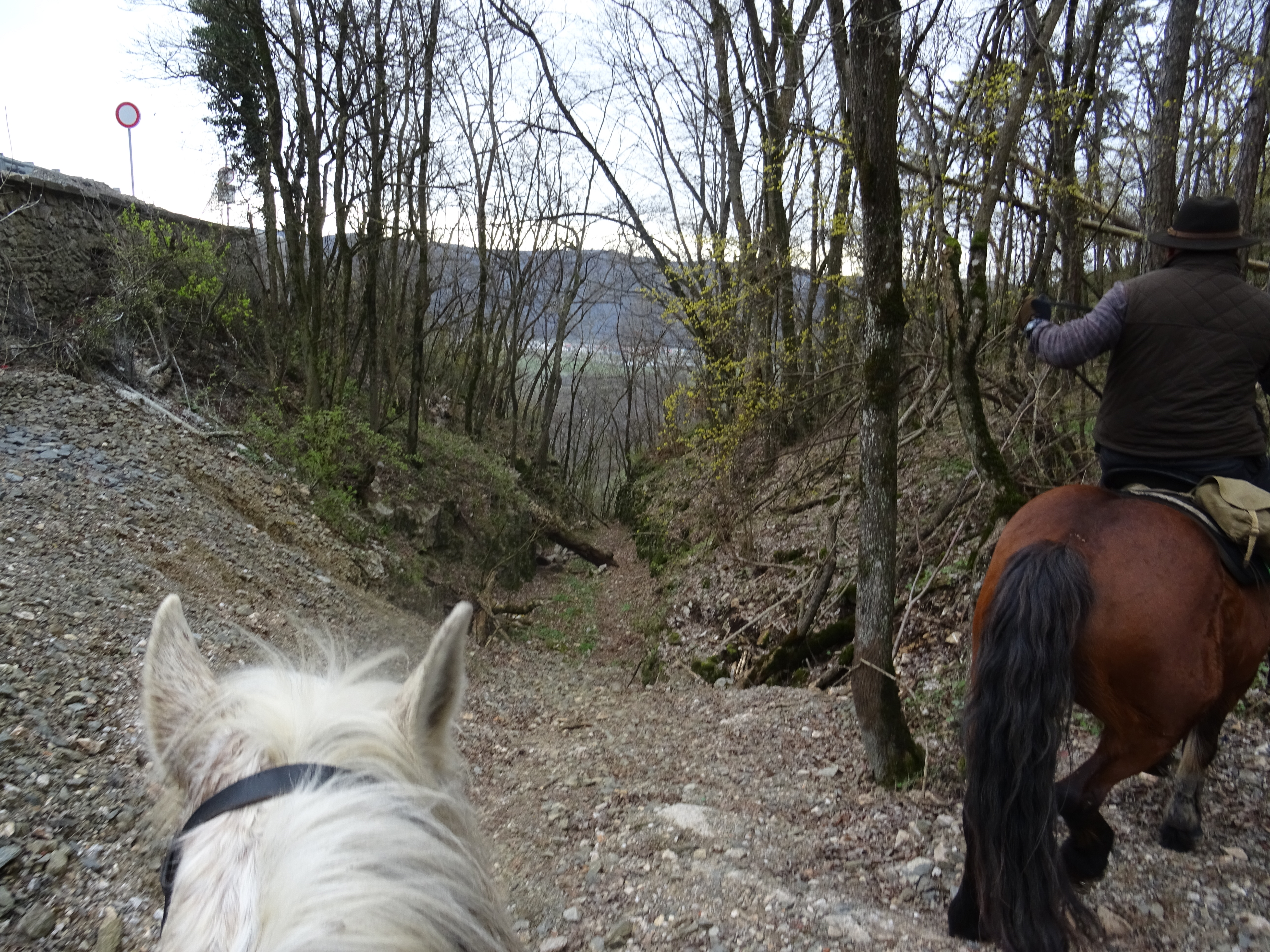 Horseride to Szádvár ruins