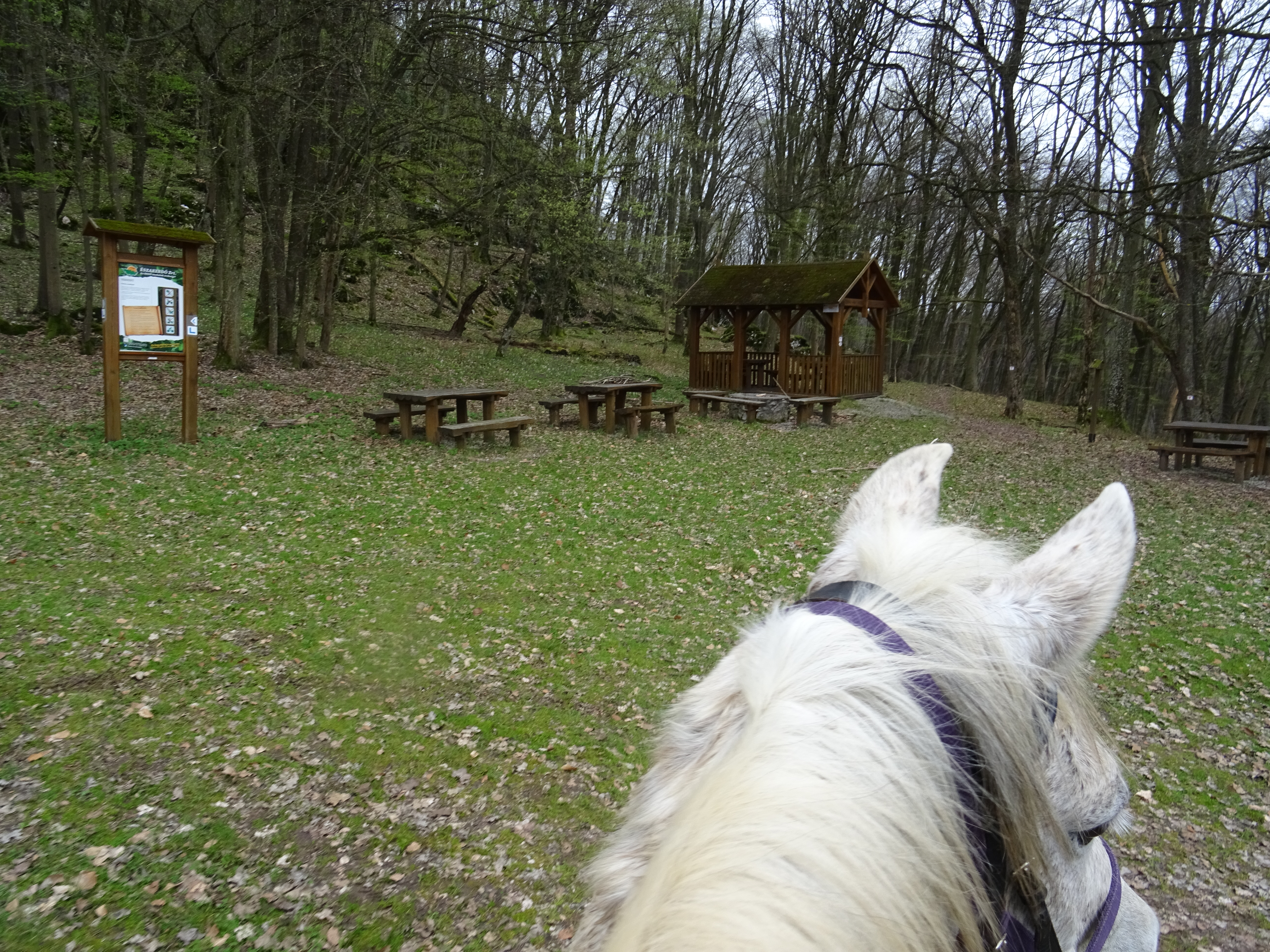 Horseride to Szádvár ruins