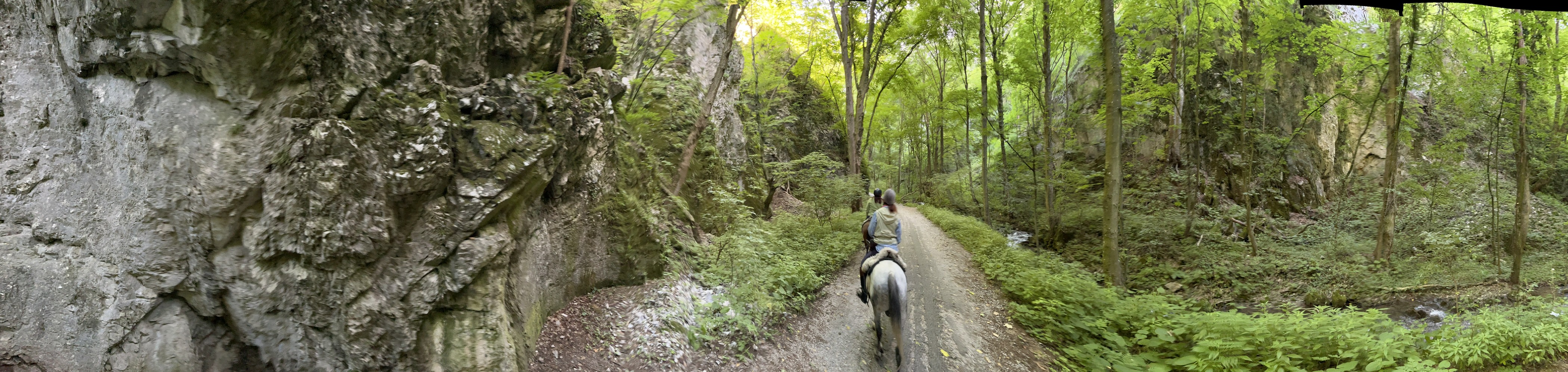 More opportunities for horseback riding