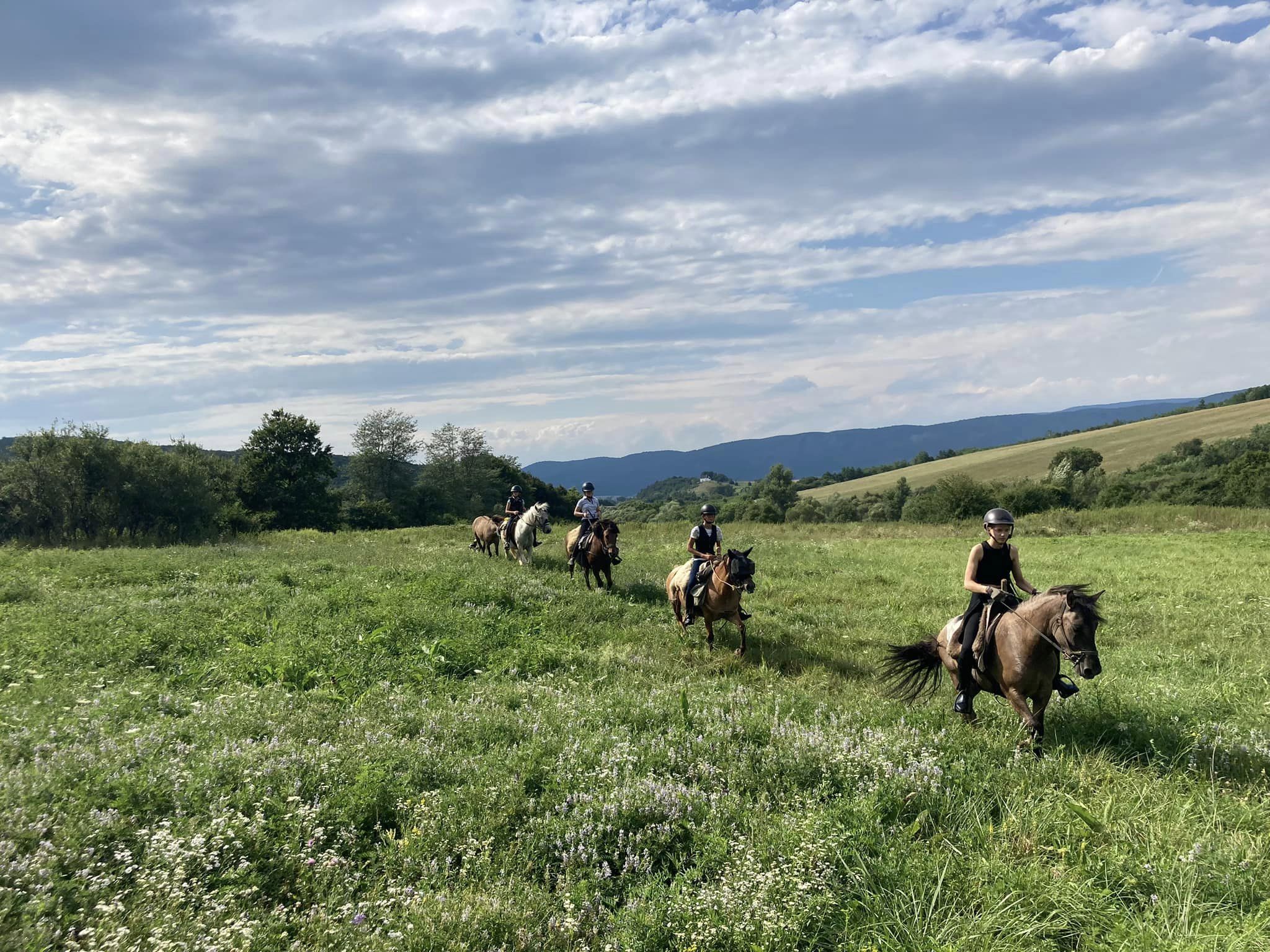 More opportunities for horseback riding