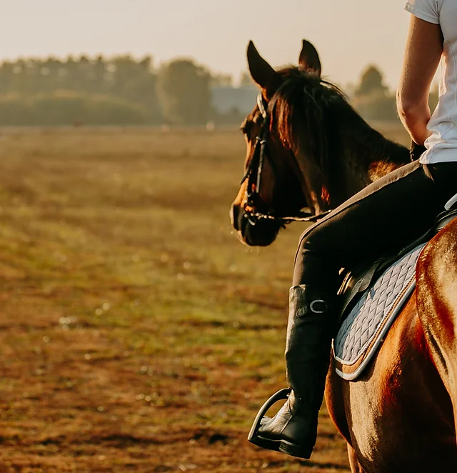 More opportunities for horseback riding