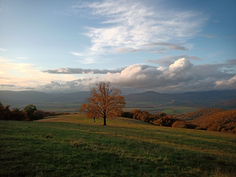 Vychádzka nad Drnavu