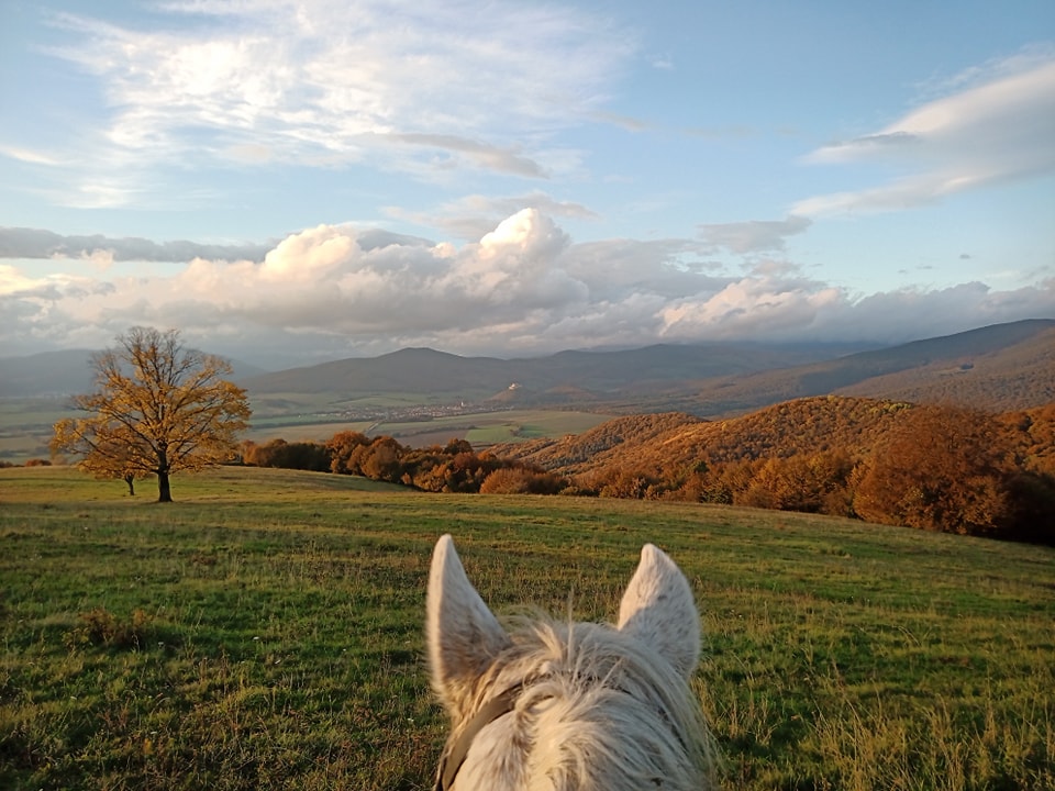 Vychádzka nad Drnavu