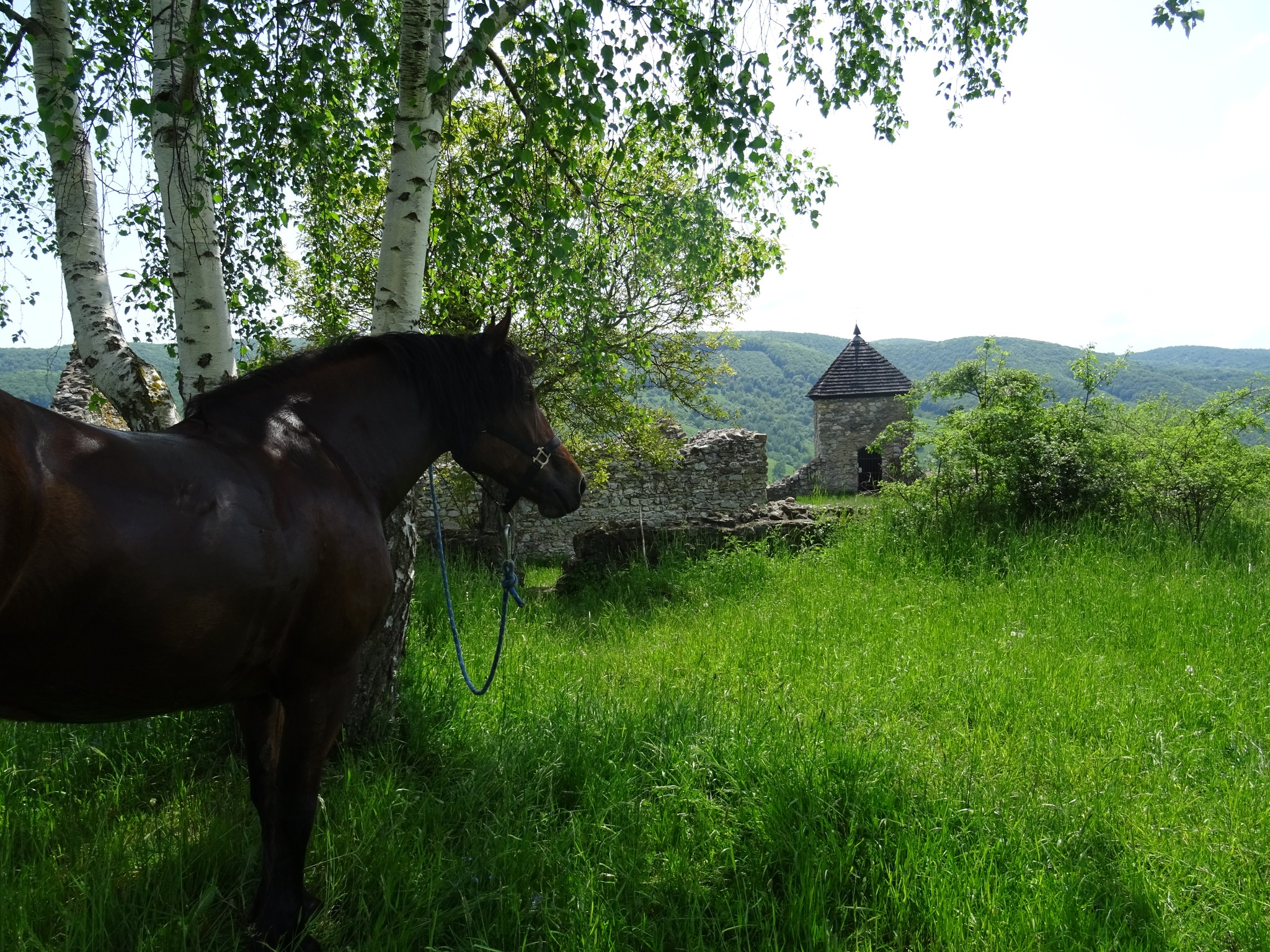 Horseride to Husitský church in Lučka