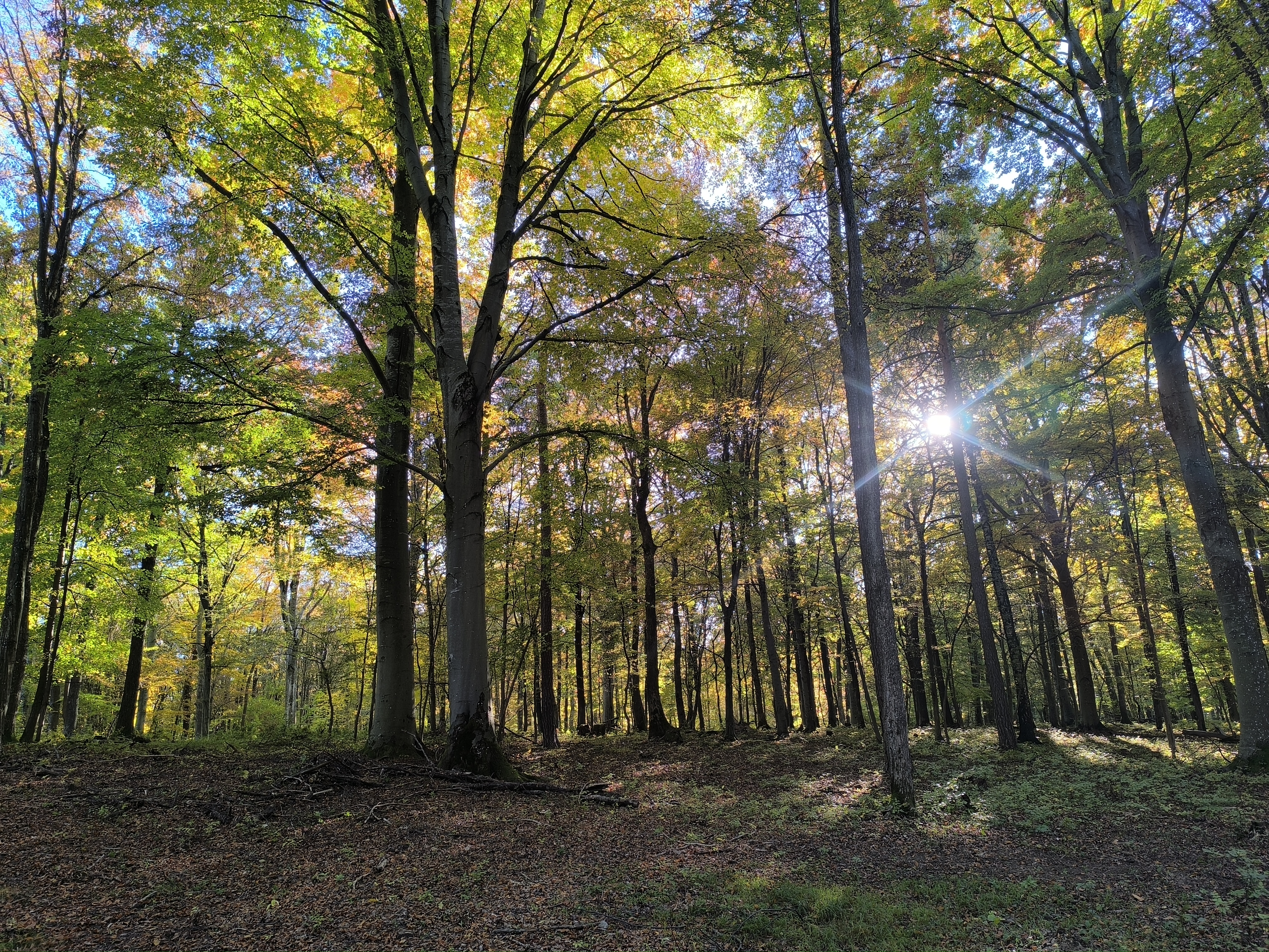 Szép panoráma a hegy mindkét oldalára 