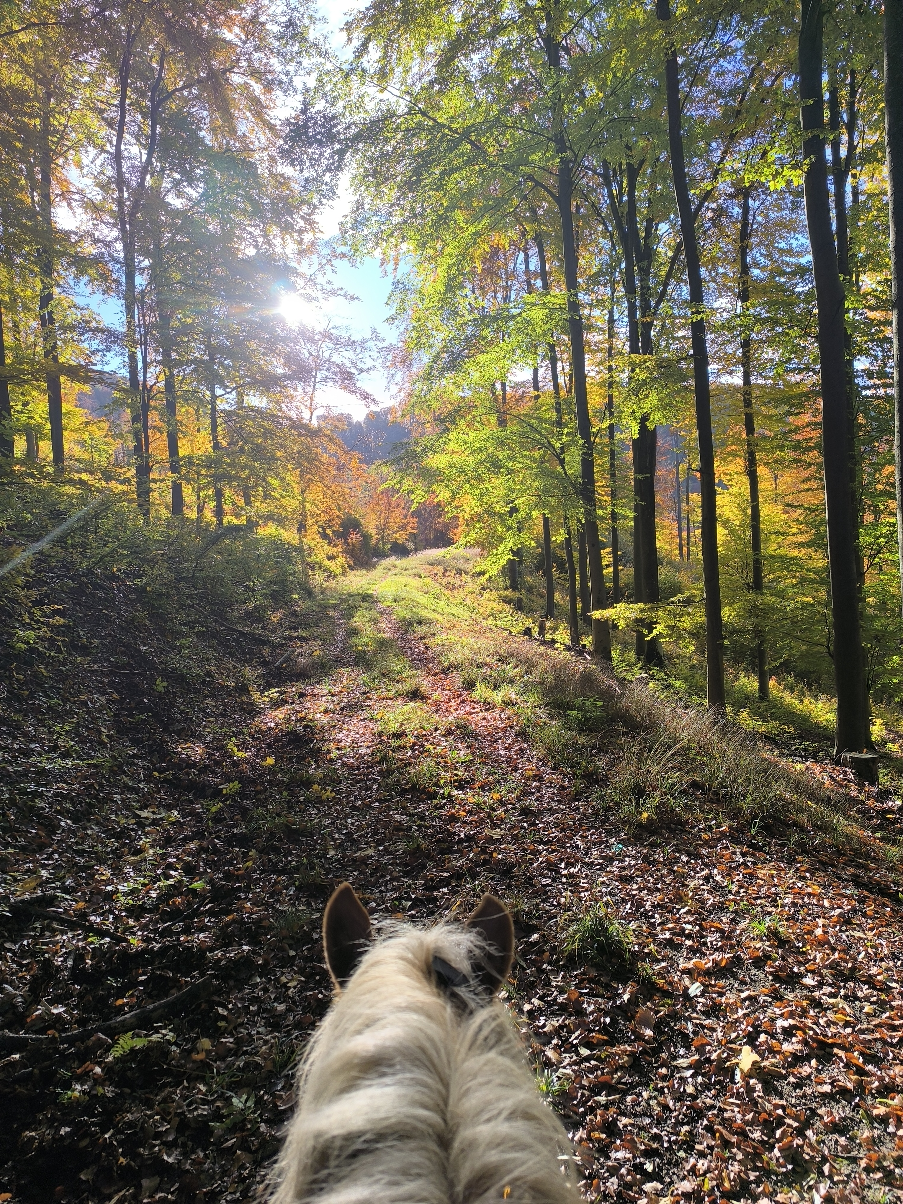 Szép panoráma a hegy mindkét oldalára 